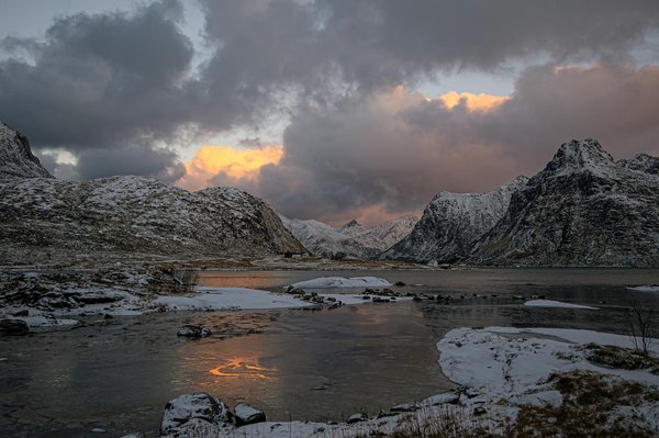Wie kÃ¶nnen Kreuzfahrten zur Erhaltung der MeereslebensrÃ¤ume beitragen?